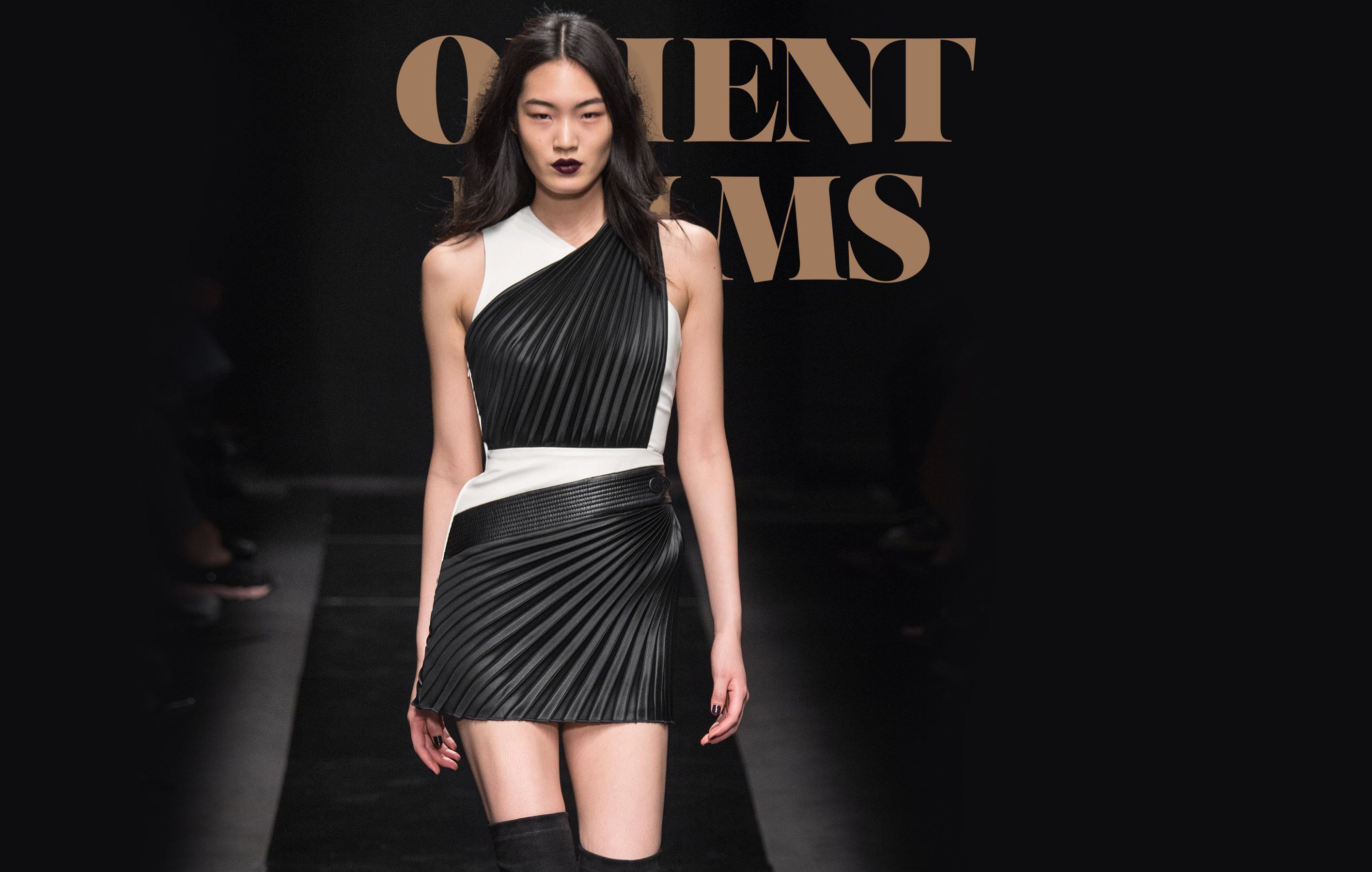 Emanuel Ungaro Fall-winter 2015-2016 - Ready-to-Wear