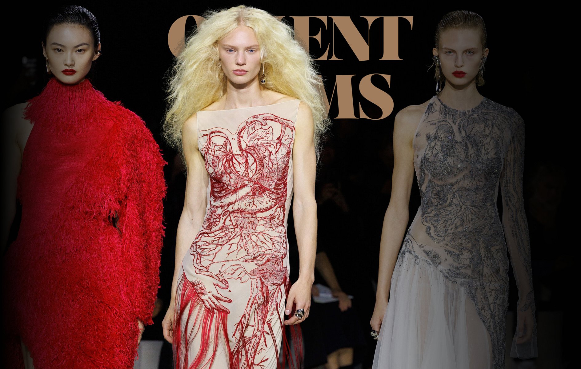 Alexander McQueen Fashion Collection Ready To Wear Spring Summer